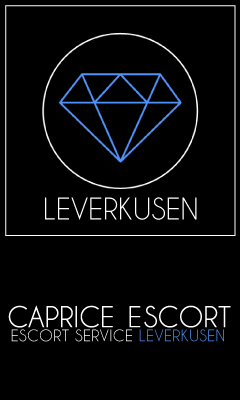 Escort Service Leverkusen Banner Skyscraper